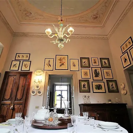 Villa Elisa *